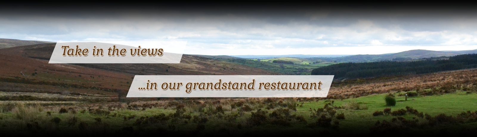 Home Comforts - Slide 4